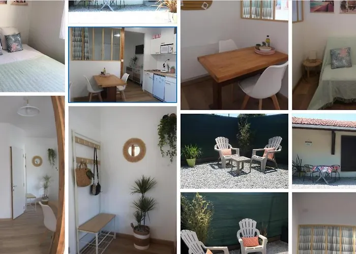 Cote Mini 미미장플라즈